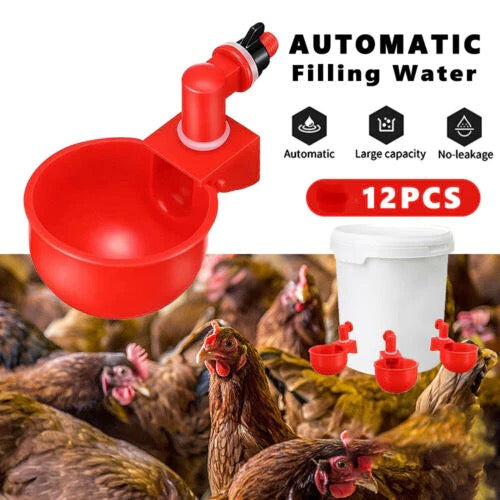 12pc Poultry/Chicken Drinking Cups